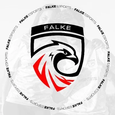 Visuel de @FALKE_EC