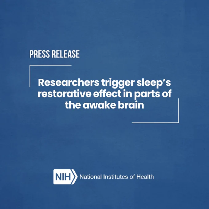 Press release from the National Institutes of Health on a blue background. The text reads, "Researchers trigger sleep’s restorative effect in parts of the awake brain."