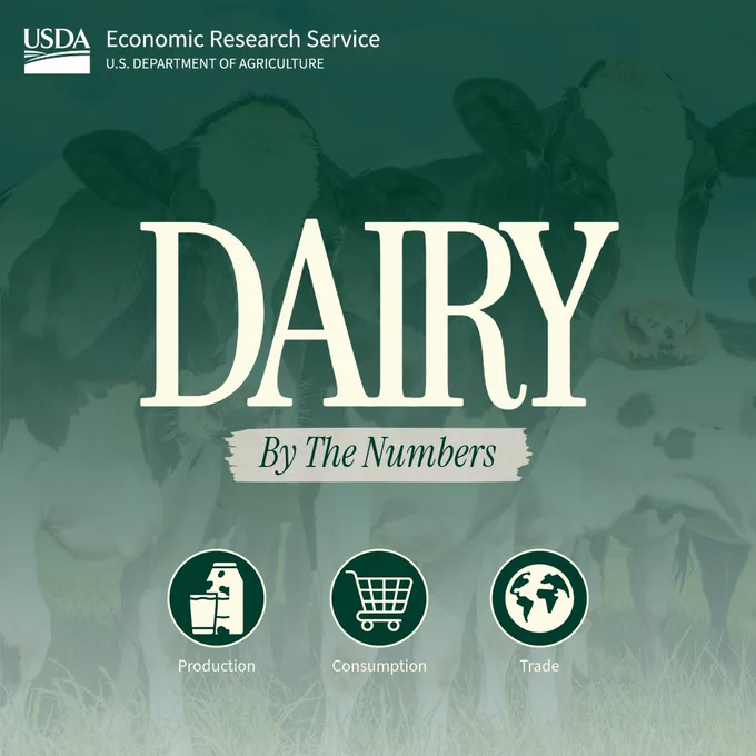 Graphic with the USDA Economic Research Service logo at the top. Large text reads 'Dairy' with smaller text 'By the Numbers.' Faded background image shows dairy cows standing in a field. Three icons appear along the bottom labeled Production, Consumption, and Trade.