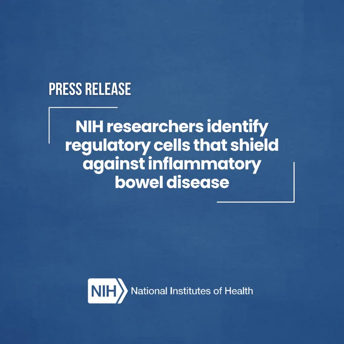 Press release from the National Institutes of Health (NIH) on a blue background, stating that NIH researchers have identified regulatory cells that protect against inflammatory bowel disease.
