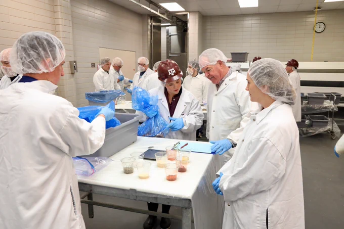 Researchers in white lab coats and hairnets work together in a laboratory setting. Some are examining spice samples on a table, with one person holding a clipboard. Others are handling materials in large containers. A Texas A&M University logo can be seen on a helmet worn by one of the researchers.


