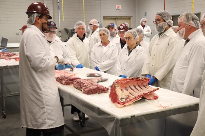 A group of people wearing white coats, hairnets, and gloves are gathered around a table with various cuts of raw meat, including ribs, displayed on it. One person is speaking, possibly instructing the others. The setting resembles a meat processing or educational facility.
