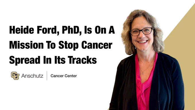 A photo of Heide Ford, PhD, with a CU gold triangle behind her. The rest of the graphic is white. In black text "Heide Ford, PhD, Is On A Mission To Stop Cancer Spread In Its Tracks". The CU Anschutz Cancer Center logo is below the text.