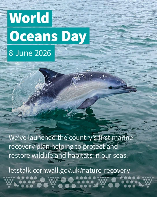 Photo of a dolphin leaping from the sea. Text says: World Oceans Day, 8 June 2026. We've launched the country’s first marine recovery plan helping to protect and restore wildlife and habitats in our seas.