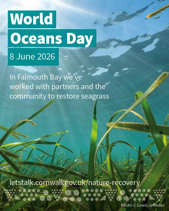 World Oceans Day graphic with underwater seagrass and text saying: In Falmouth Bay we’ve worked with partners and the community to restore seagrass.