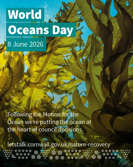World Oceans Day poster with kelp forest background and text saying: Following the Motion for the Ocean we’re putting the ocean at the heart of council decisions.