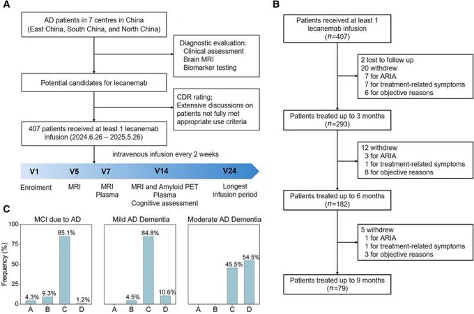 Figure from Brain paper on lecanemab for Alzheimer's disease