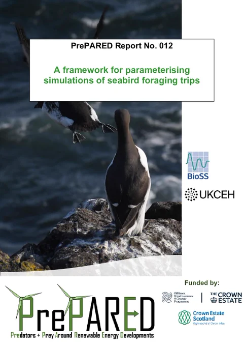 Cover art work for PrePARED Report 12: A framework for parameterising simulations of seabird foraging trips.
Image features seabirds on a cliff and the Text below is the PrePared logo.