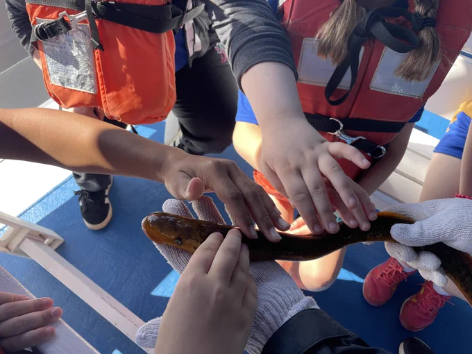 Students encountering a live sea lamprey during a boat cruise on the St. Clair River and Lake Huron. Credit: GLFC.