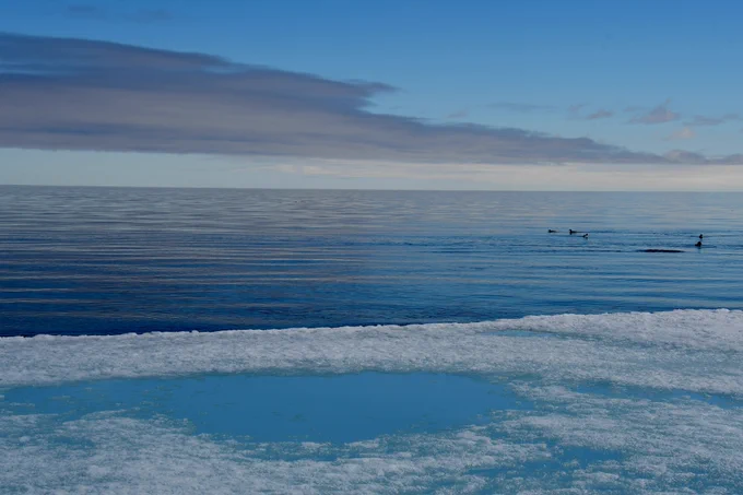 View of the Arctic Ocean from Baffin Island, Nunavut.