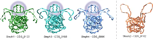 3D structures of the different MTases predicted using AlphaFold.