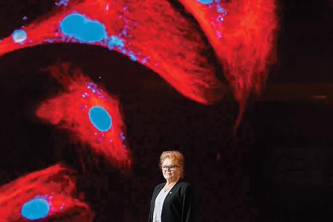 A researcher stands in front of a large display of magnified fluorescent cells showing red tissue structures and blue cell nuclei.
