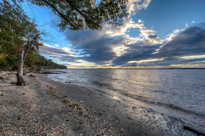Calm shoreline with scattered shells and pebbles under a partly cloudy sky at sunset.