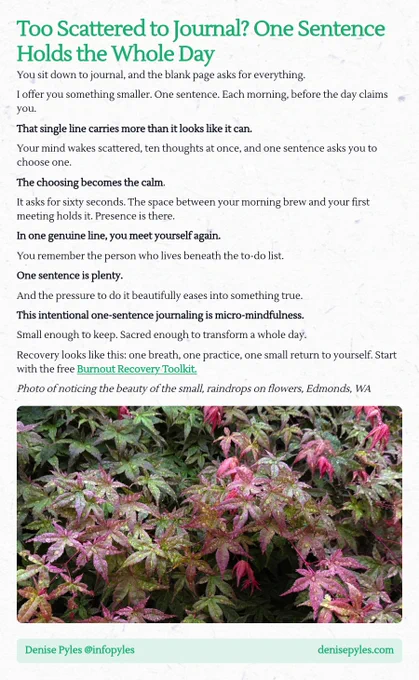 A screenshot essay titled 'Too Scattered to Journal? One Sentence Holds the Whole Day' discusses the simplicity and power of journaling with just one sentence each morning. It encourages readers to take a moment before the day begins to choose a thought, promoting mindfulness and self-connection. The essay highlights how this practice can transform a day from chaotic to calm, emphasizing that the act of writing one sentence can be both meaningful and relieving. It concludes with a suggestion for a free resource, the Burnout Recovery Toolkit, and includes a visual reference of raindrops on flowers, symbolizing beauty in small moments.