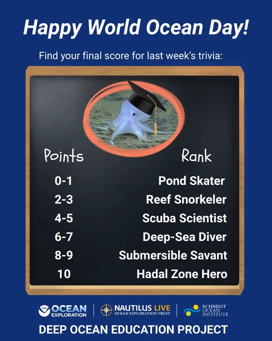 A blackboard on a blue background. The blackboard explains point ranking categories as described in the post text. The blackboard also features an image of “Casper” the octopus with a graduation cap edited onto the octopus’s head. Logos for NOAA Ocean Exploration, Nautilus Live, and Schmidt Ocean Institute appear above the words “Deep Ocean Education Project.” Listed score categories include: “ 0-1 points: Pond Skater,” “2-3 points: Reef Snorkeler,” “4-5 points: Scuba Scientist,” “6-7 points: Deep-Sea Diver,” “8-9 points: Submersible Savant,” and “10 points: Hadal Zone Hero”