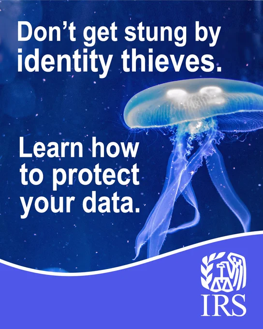 A close-up of a jellyfish underwater. Text: 'Don't get stung by identity thieves. Learn how to protect your data.' IRS logo also displayed.
