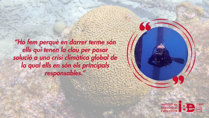 Brain corals (Pseudodiploria strigosa). Credit to Brad Weiler and Javier del Campo.
