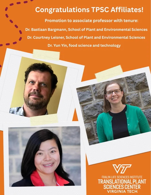 Congratulations TPSC Affiliates! Promotion to associate professor with tenure: Dr. Bastiaan Bargmann, School of Plant and Environmental Sciences. Dr. Courtney Leisner, School of Plant and Environmental Sciences. Dr. Yun Yin, food science and technology. Virginia Tech logo. Fralin Life Sciences Institute. Translational Plant Sciences Center. Virginia Tech. 