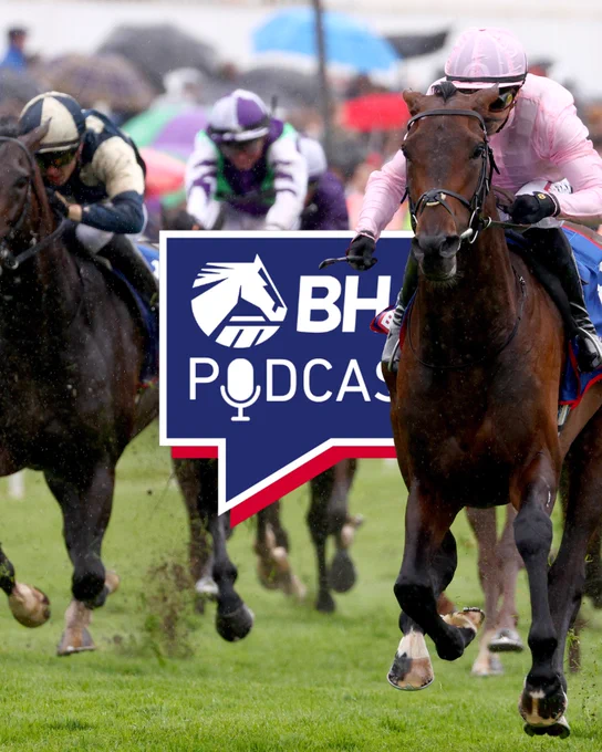 The BHA Podcast features interviews with senior leaders within the organisation, as well as stories of the work of those who make racing happen every day. Hosted by broadcaster Nick Lightfoot, it’s available to listen to and subscribe on all the major streaming services.