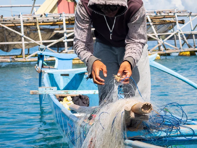 Pak Peri carefully untangles and clears the wet mesh as it piles into the bottom of his boat. His face shows intense concentration and quiet hope as he sifts through the net, searching for any signs of crabs amidst an otherwise empty haul.