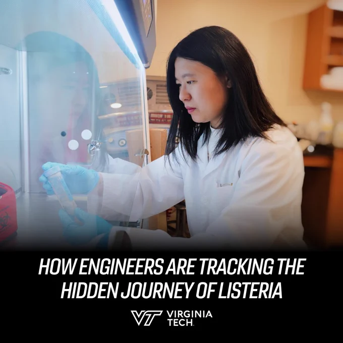 A researcher holds a test tube while wearing a lab coat. Text reads "How engineers are tracking the hidden journey of listeria."