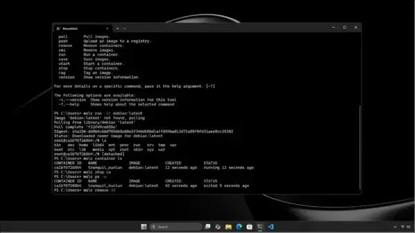 WSL containers on Windows (image Microsoft)