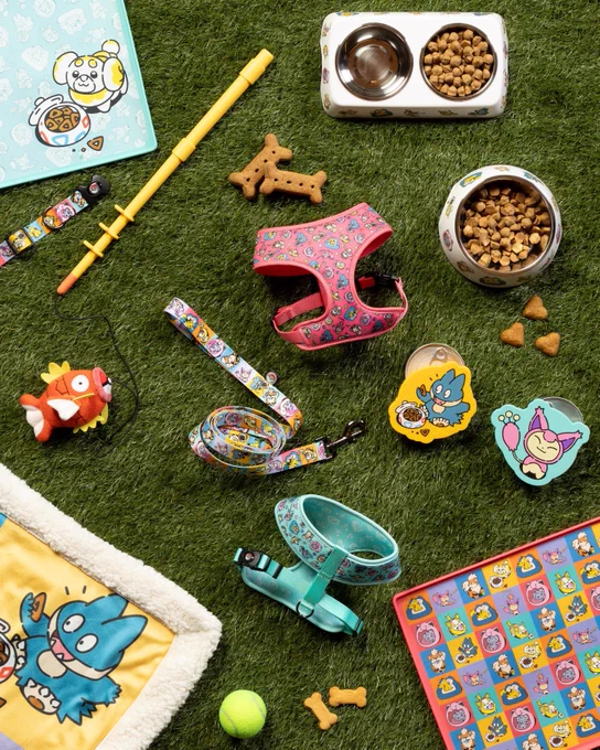 Pokemon Center Pet Accessories