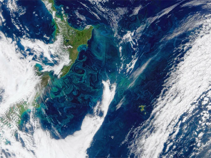 Satellite image of the Benguela Current off the southwestern coast of Africa, showing green and blue swirls of plankton blooms. The image was captured by PACE’s Ocean Color Instrument on May 16, 2025. Credit: NASA