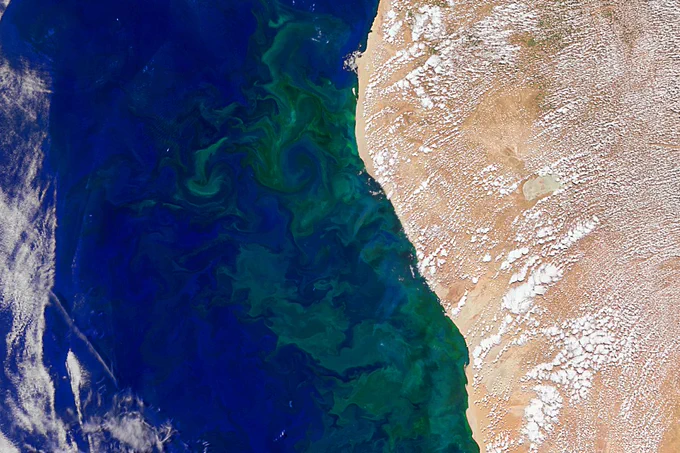 Satellite image of a phytoplankton bloom off the east coast of New Zealand. Green and blue swirls extend toward the Chatham Islands near the center. This image was captured by PACE’s Ocean Color Instrument on November 6, 2025. Credit: NASA