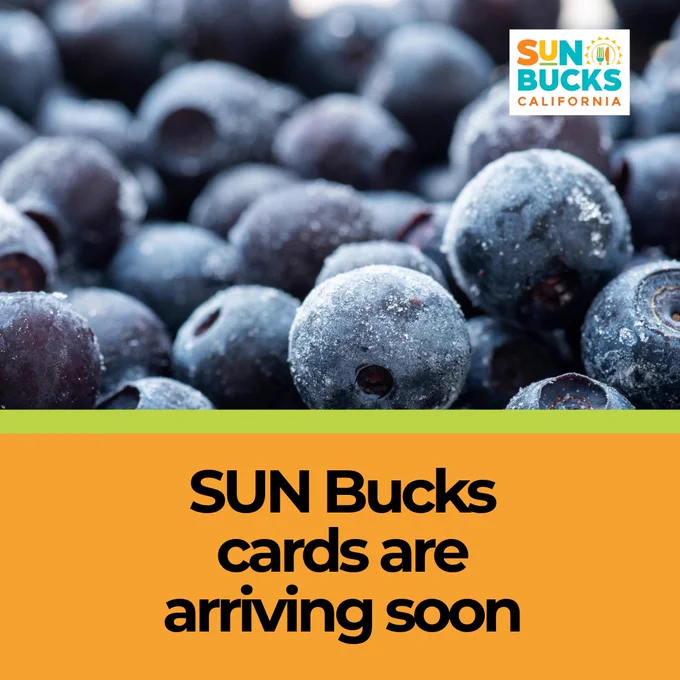 A pile of blueberries. Text: SUN Bucks cards are arriving soon. The SUN Bucks logo  