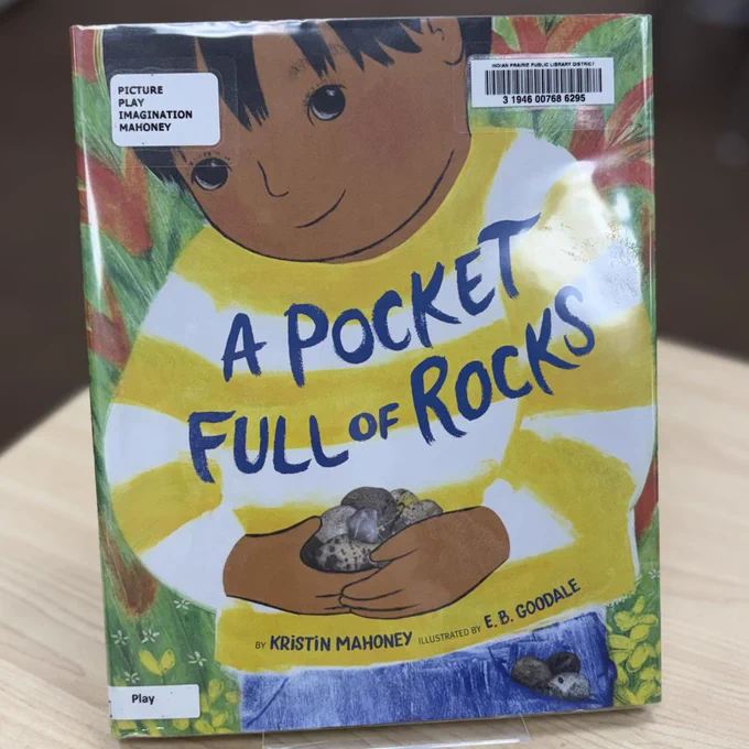A Pocket Full of Rocks by Kristin Mahoney book.