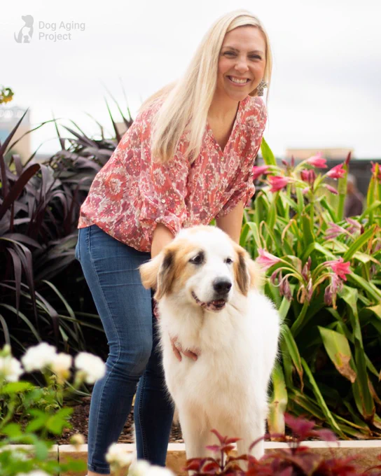 A woman in a red blouse and jeans poses with a large white and brown fluffy dog in the garden with pink flowers