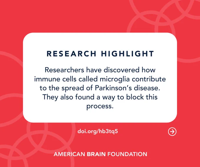 Research Highlight: Researchers have discovered how immune cells called microglia contribute to the spread of Parkinson’s disease. They also found a way to block this process.
