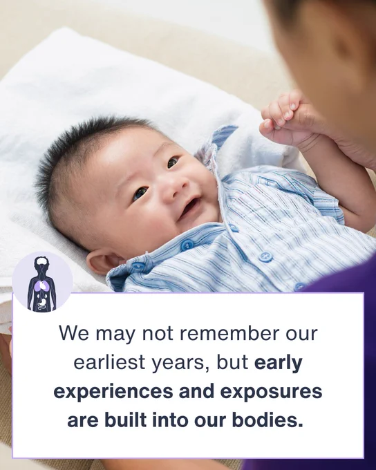 Infant looking up at caregiver. Text: We may not remember our earliest years, but early experiences and exposures are built into our bodies. 