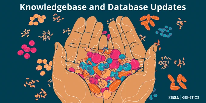 Knowledgebase and Database Updates\n