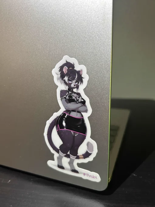 Besky sticker on a laptop. the art on the sticker was made with Ai btw so you dont cry.