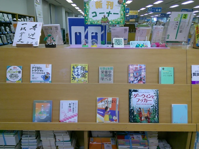 山武市成東図書館　新刊コーナーの写真