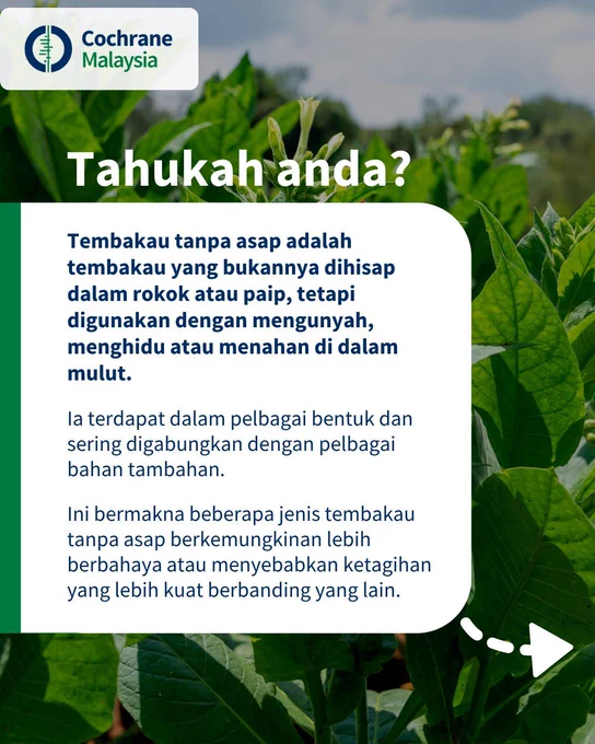 Tahukah anda? Tembakau tanpa asap adalah tembakau yang bukannya dihisap dalam rokok atau paip, tetapi digunakan dengan mengunyah, menghidu atau menahan di dalam mulut. Ini bermakna beberapa jenis tembakau tanpa asap berkemungkinan lebih berbahaya atau menyebabkan ketagihan yang lebih kuat berbanding yang lain. 