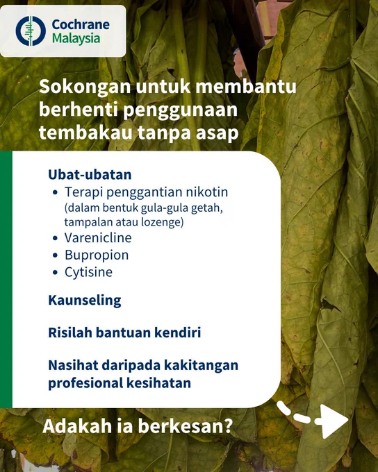 Sokongan untuk membantu berhenti penggunaan tembakau tanpa asap termasuk ubat-ubatan, contohnya terapi penggantian nikotin dalam bentuk gula‐gula getah, tampalan atau lozenge, varenicline, bupropion dan cytisine. Terdapat juga kaunseling, risilah bantuan kendiri dan nasihat daripada kakitangan profesional kesihatan. 
