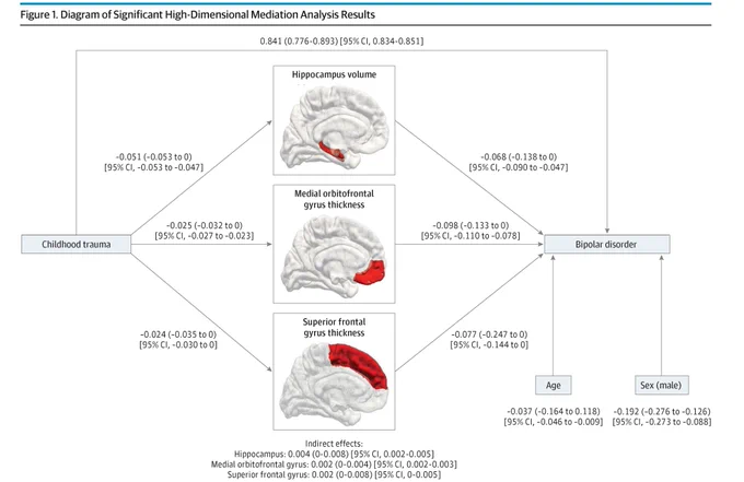 Figure 1: Mediation analysis results. Childhood trauma influences Bipolar disorder, mediated by hippocampus volume, medial orbitofrontal gyrus thickness, and superior frontal gyrus thickness. Brain images show these regions highlighted in red. Numerical coefficients and 95% CIs are given for all paths, including age and sex.