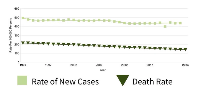 US cancer rates have remained steady and death rates declined through 1992-2024.