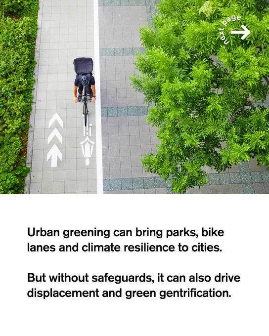 Aerial photograph of a cyclist on a green urban bike lane bordered by trees and paving stones. Below the image, bold black text reads: "Urban greening can bring parks, bike lanes and climate resilience to cities. But without safeguards, it can also drive displacement and green gentrification."