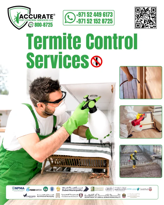 🛡️ Termites cause serious damage before you even see them. Protect your UAE home or business with Accurate Pest Control Services LLC – the trusted name for Best Termite Control in Dubai.

📞 DM for a free inspection.