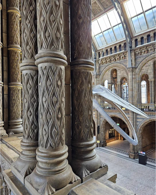 Ornate arches with a head of a large blue whale skeleton visible in the background. 