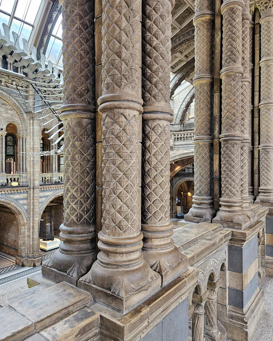 Ornate arches with the spine of a large blue whale skeleton visible in the background. 