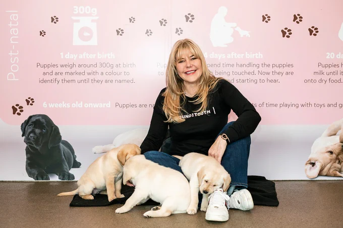Rachael Tricarico, founder of Houndztooth, sitting on a mat smiling and interacting with three yellow Labrador puppies. She is wearing a black Houndztooth long-sleeve shirt against a pink and white background wall detailing post-natal puppy growth stages.