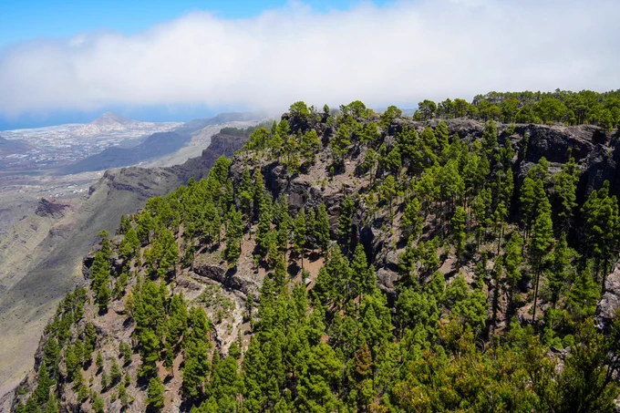 Aerial image of the Tamadaba Nature Park in Agaete, home to one of the best native pine forests in the Canary Islands and a host of hidden corners full of biodiversity