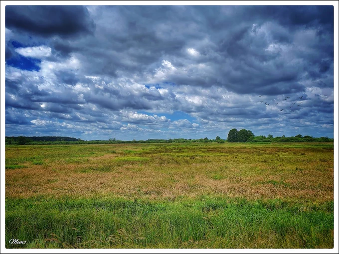 Bildbeschreibung: Blick über einen Teil des Siebendörfer Moores bei Schwerin vor einem stark bewölkten Himmel.