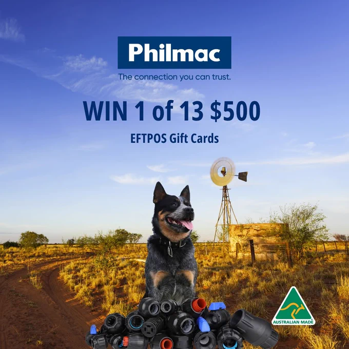 Philmac Working Dog Calendar Competition banner featuring an Australian Blue Heeler sitting behind a pile of black plumbing pipe fittings in an outback farm landscape with a windmill. Text details the chance to win 1 of 13 $500 EFTPOS gift cards by uploading a photo of a working dog at work, rest, or play.