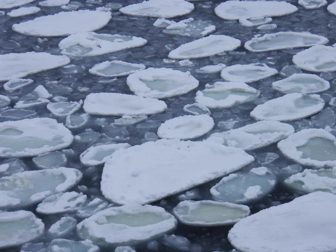 Seawater ponding on ice floes, and snow loss, reduces the ability of the ice to reflect sunlight, leading to surface melting in summer. Photo: Rob Massom.